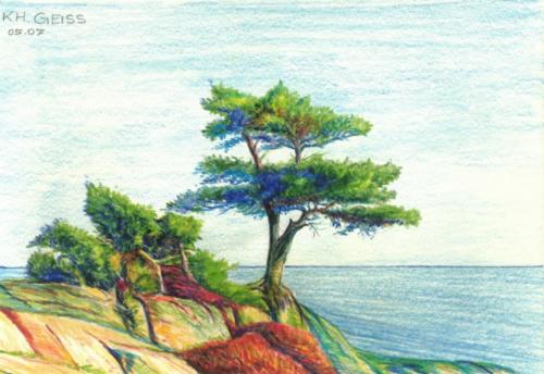 Baum an der Küste