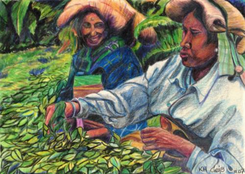 Teepflückerinnen in Sri Lanka (ehemals Ceylon)