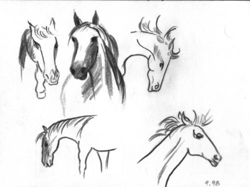 Zeichnung SW Pferde